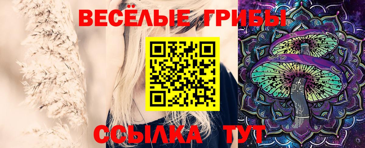 Псилоцибиновые грибы GOLDEN TEACHER Каспийск