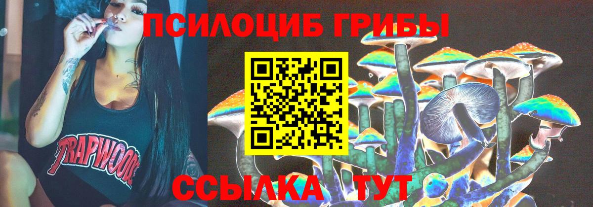 Галлюциногенные грибы Psilocybe  Вход с VPN  Каспийск 