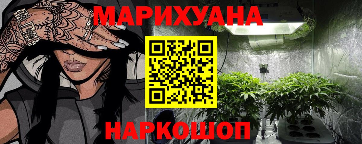 Бошки марихуана Bruce Banner  Конопля планчик  Каспийск  Марихуана план  Вход с VPN  Конопля White Widow 